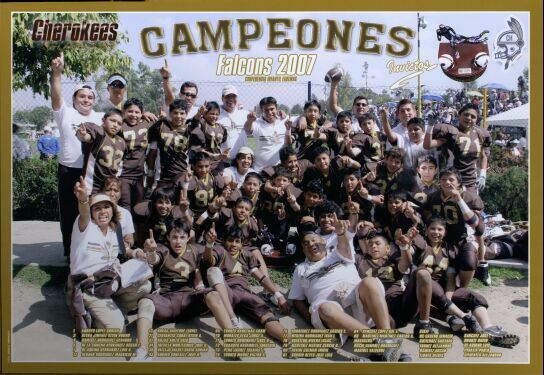 Falcons 2007