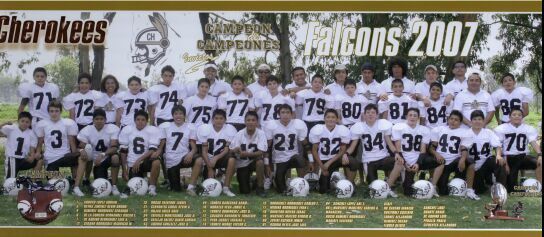 Falcons 2007