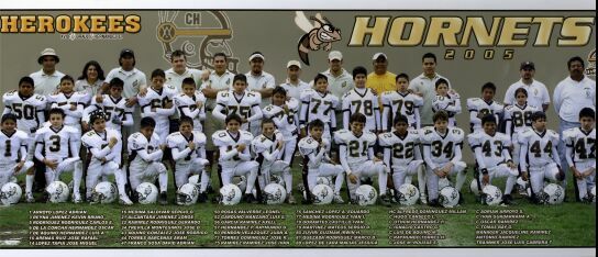 Hornets 2005