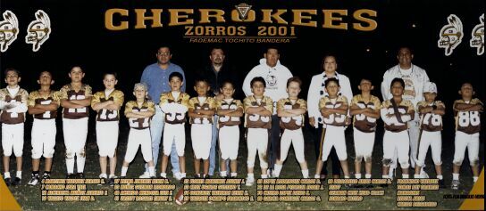 Zorros 2001