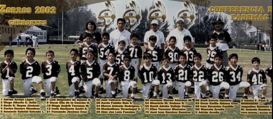 Zorros 2002