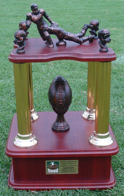 Trofeo Campe�n Tauros 2008
