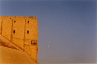 Syrian Castles and Palmyra