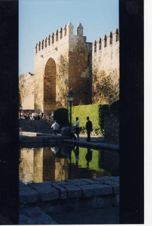 Water outside Cordoba's Walls
