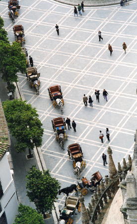 Looking down from the largest Minaret in the World
