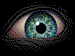 Creepy Eye