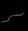Green Snake