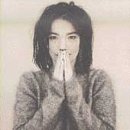 bjork - Debut