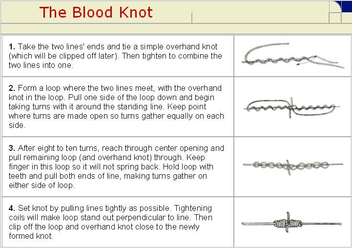 Instructions on how to tie a blood knot.