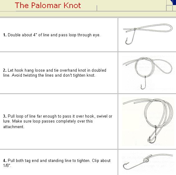 How to tie a Palomar Knot.