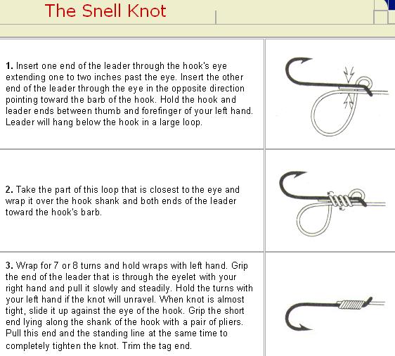 How to tie a Snell Knot.