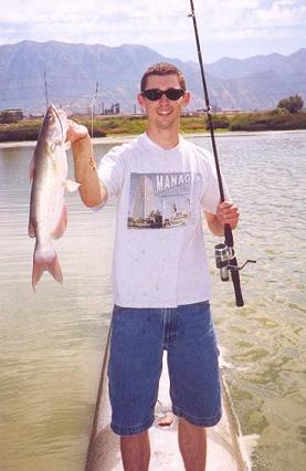 A nice 3 lb. Channel Catfish caught on the "Bubble-Up" pipe near the old Geneva Steel plant on Utah Lake.&nbsp; This particular catfish was caught using a chunk of fresh carp meat for bait.&nbsp; The trick is to rig it with no weight and cast it out and let it sit on the bottom, then leave the bail open or set the drag really loose so the cat doesn't feel the pressure of the line until it has the bait deep in its mouth.&nbsp; Then set the hook hard!