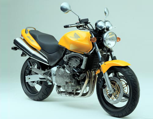 Next Years Steed