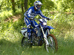 wr250.jpg (26750 bytes)