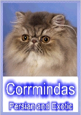 Corrminda