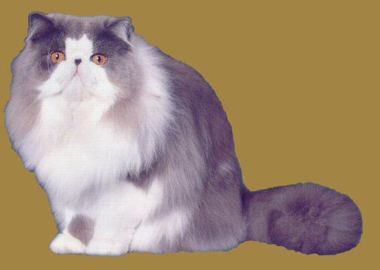 Elof