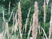 P1040496