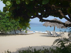 P1000079