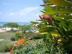 P1000108