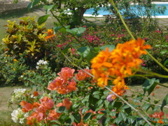 P1000109
