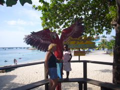P1000114