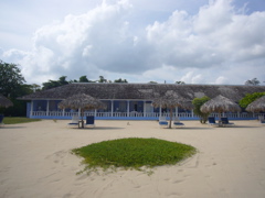 P1000073