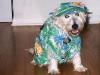 Rufus - Halloween 1999