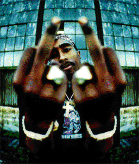 PAC FINGA