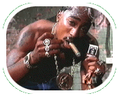 TOSS IT UP