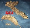 NEW RBI BUD