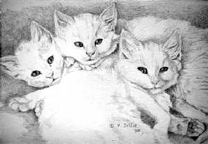 '3-Headed Pile of Kittens', graphite, 6 X 8