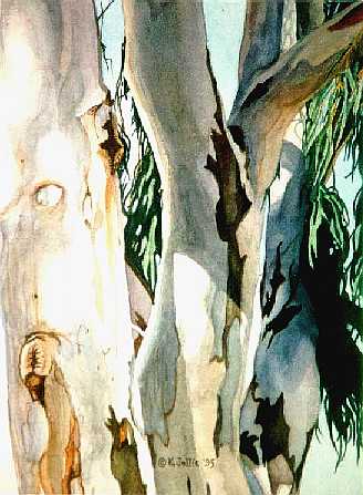 'Eucalyptus Limbs in Sun #6:Sun Wedges, 12 X 9 in., Watercolor on Paper, painting � 1995  Karen G. Jollie
