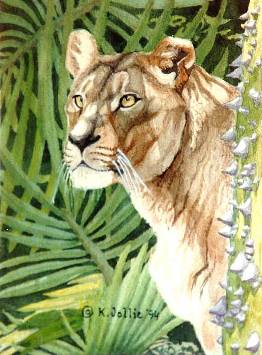 'Lioness', 8 x 6 in., watercolor on paper, � Karen G. Jollie 1994