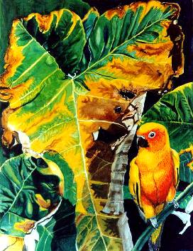 'Turning Elephant-Ear with Sun Conure', 18 X 13 � in., Watercolor on illustr. Board.  �1994 Karen G. Jollie