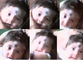 Multi Faced