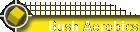 Bush Aerobics