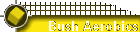 Bush Aerobics