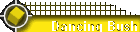 Dancing Bush