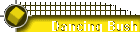 Dancing Bush