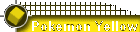 Pokemon Yellow