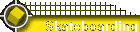 Skateboarding