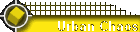 Urban Chaos