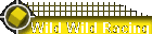 Wild Wild Racing