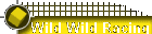Wild Wild Racing