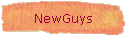 NewGuys
