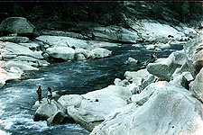 altai91_2.jpg (26737 bytes)