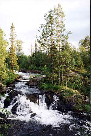 01.jpg (58768 bytes)