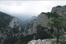 Krym97_2.jpg (16817 bytes)