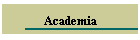 Academia