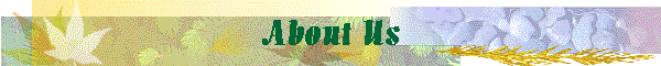 About Us